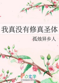 ����û������ʥ��