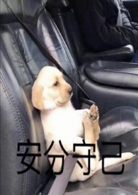 ң�޿���