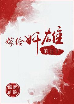 �޸����۵�����