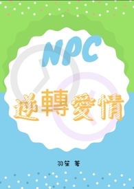 NPC��ת����